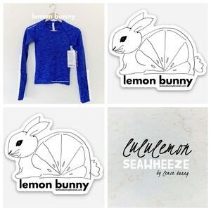 lululemon Limited Ed Swiftly Tech Long Sleeve SeaWheeze Chroma Psychic Sz 2 NWT